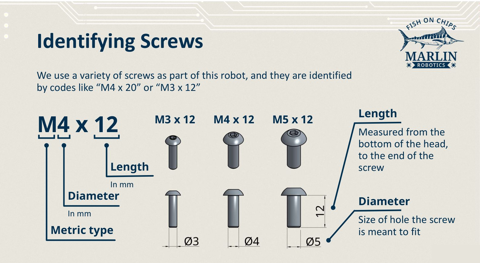 Three screws drawn side by side, M3 x 12, M4 x 12 and M5 x 12, with the diameter measured across the shaft and the length measured from under the head to the tip.